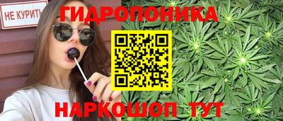 сатива Комсомольск-на-Амуре