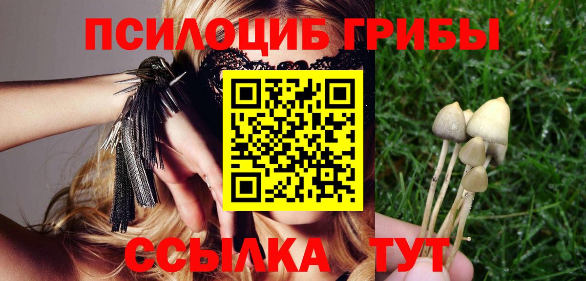 Галлюциногенные грибы Magic Shrooms Зерноград