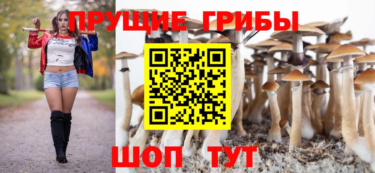 Зерноград  Псилоцибиновые грибы ЛСД  где купить наркотик  Вход с VPN 